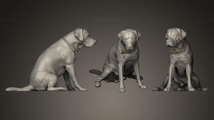 Animal figurines (DOG A53, STKJ_0231) 3D models for cnc